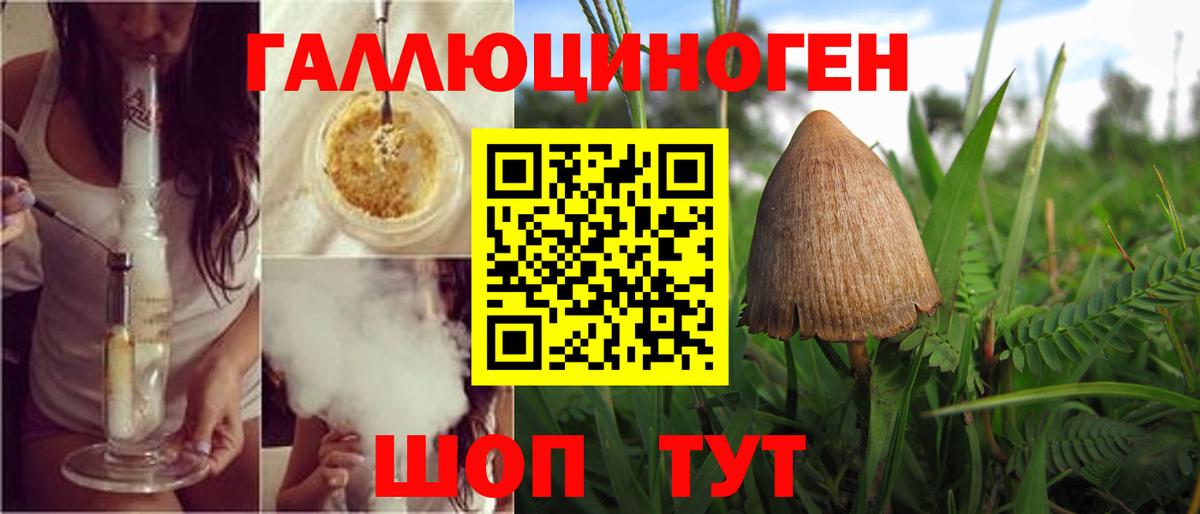 Псилоцибиновые грибы мухоморы  Вход с VPN  Серов 
